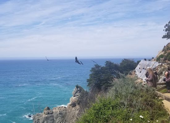 california/big-sur/attraction/redwood-deck