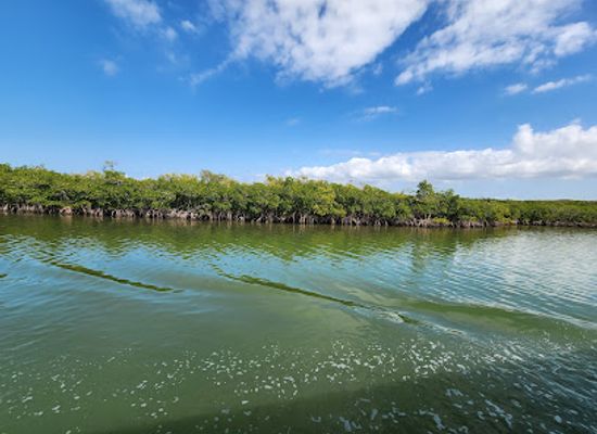 florida/clearwater/attraction/caladesi-island-state-park