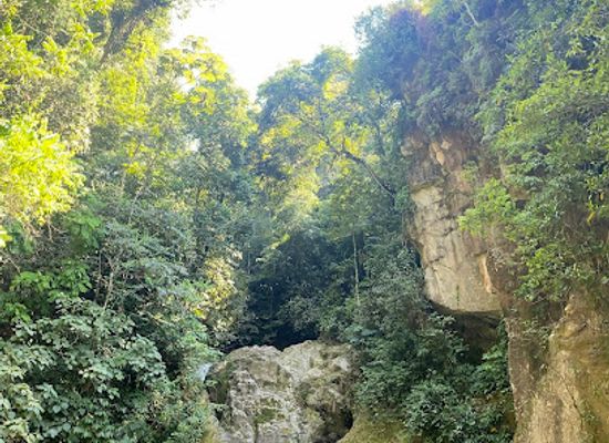 honduras/cusuco-national-park/attraction/poza-del-duende