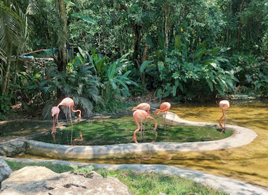 mexico/lacandon-jungle/attraction/aluxes-ecopark