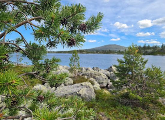 sweden/dalarna/attraction/anglerman-fishing-adventures