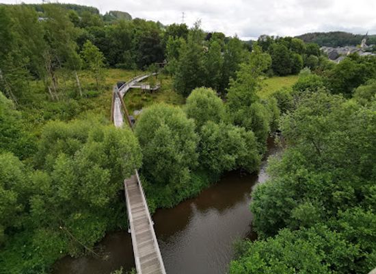 luxembourg/upper-sure-natural-park/attraction/haute-sure-foret-d-anlier-natural-park