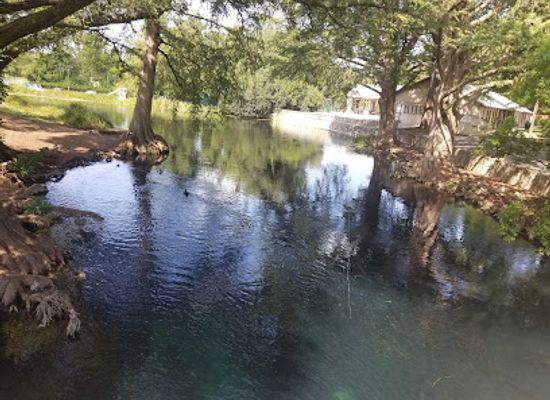 texas/new-braunfels/attraction/founders-oak