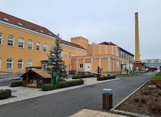 czechia/karlovy-vary/attraction/museum-of-glass-moser