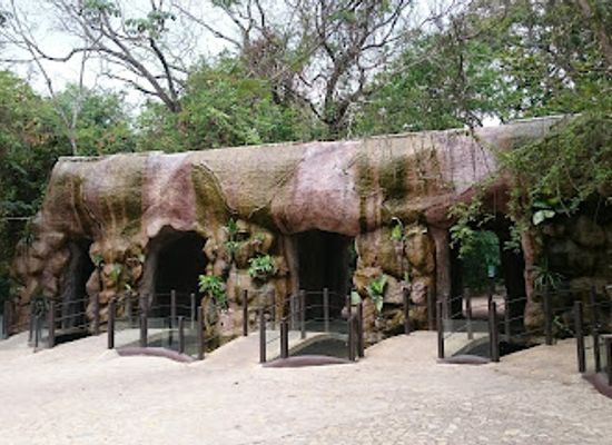 mexico/chiapas/tuxtla-gutierrez/attraction/zoomat