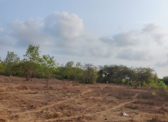india/western-ghats/attraction/revandi-ozar