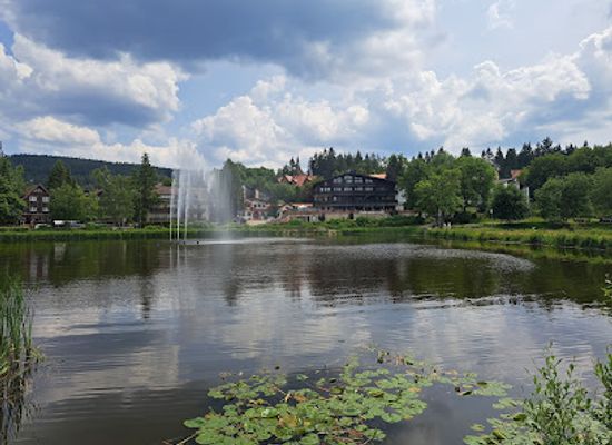 germany/harz/attraction/erlebnisbocksberg-hahnenklee-gmbh-co-kg