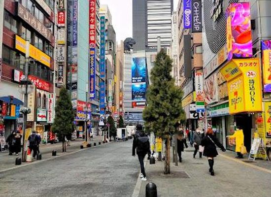 japan/tokyo/attraction/shinjuku-city