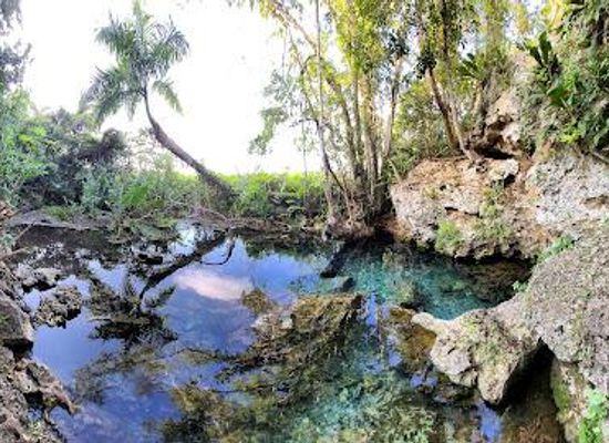 puerto-rico/arecibo/attraction/manantial-de-guayaney