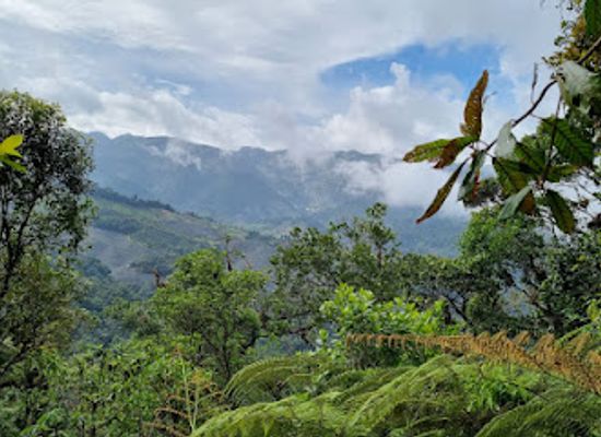 guatemala/ixil-triangle/attraction/biotopo-del-quetzal