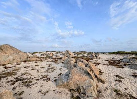 aruba/tanki-leendert/attraction/california-sand-dunes