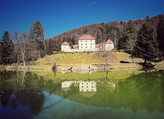 slovenia/savinja/attraction/strmol-castle-hotel-and-cafe