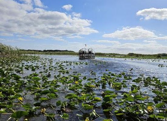 florida/gold-coast/attraction/everglades-holiday-park