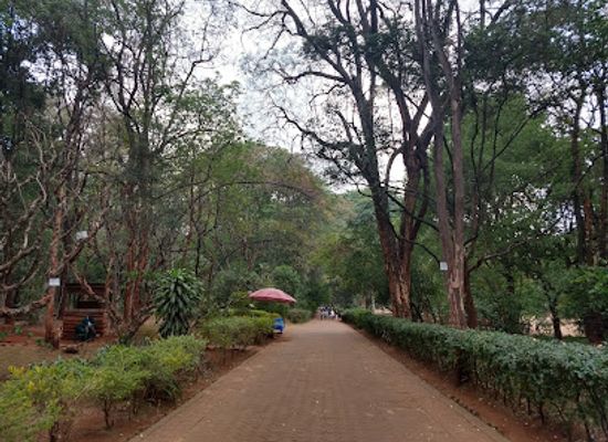 kenya/nairobi/westlands/attraction/the-nairobi-arboretum