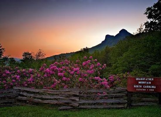 north-carolina/boone/attraction/grandfather-mountain