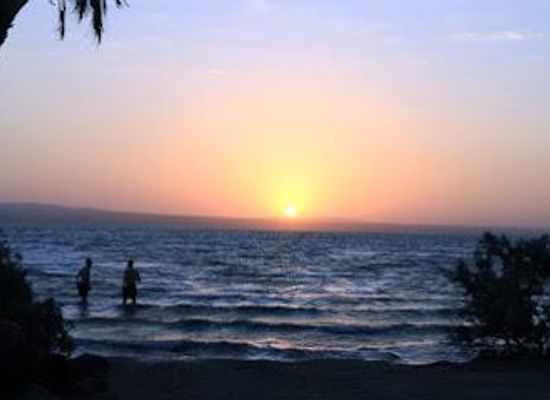 ethiopia/addis-ababa/attraction/ethioguzo-tour-and-travel