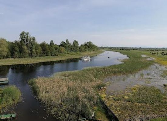 serbia/macva/attraction/special-nature-reserve-zasavica