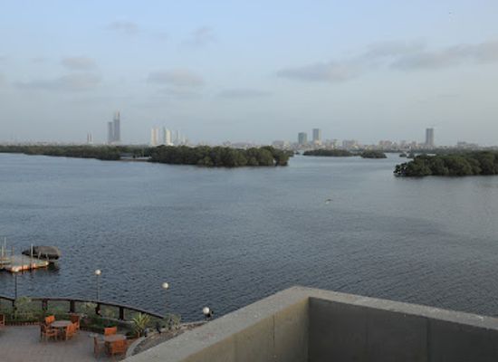 pakistan/karachi/attraction/chinna-creek-mangroves-karachi-s-lungs