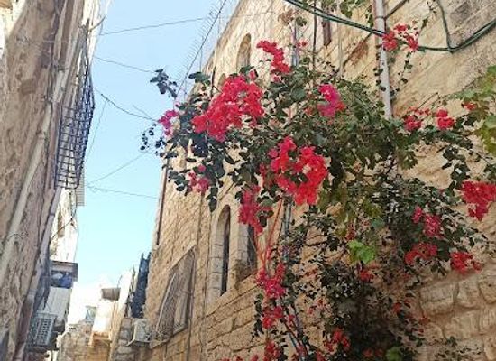jordan/dead-sea/attraction/muslim-quarter
