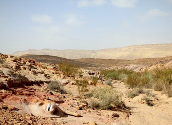 israel/negev-desert/attraction/haminsara