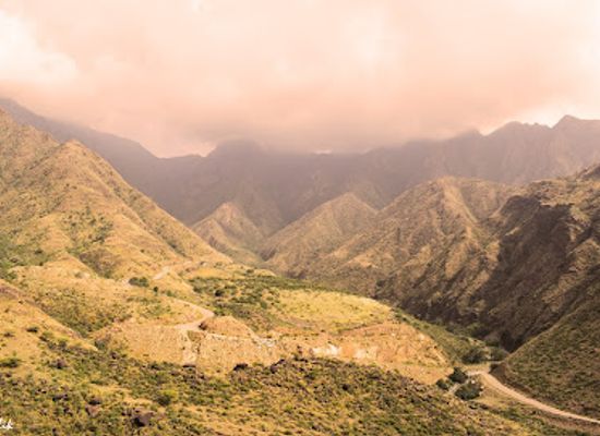 saudi-arabia/asir/attraction/king-abdulaziz-national-park