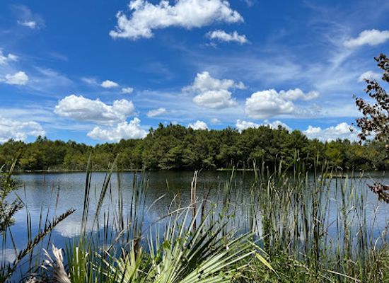 florida/fort-myers/attraction/six-mile-cypress-slough-preserve