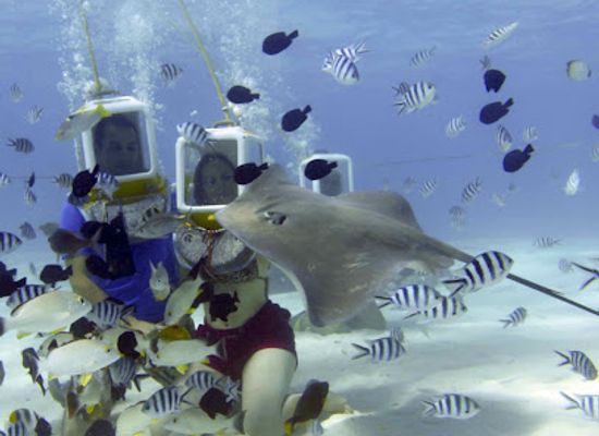 french-polynesia/bora-bora/attraction/aqua-safari-under-water-walk