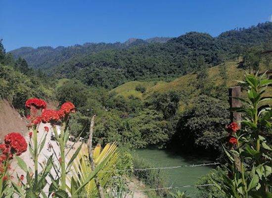 guatemala/semuc-champey/attraction/cacao-tour