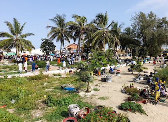 senegal/saint-louis/attraction/faidherbe-bridge