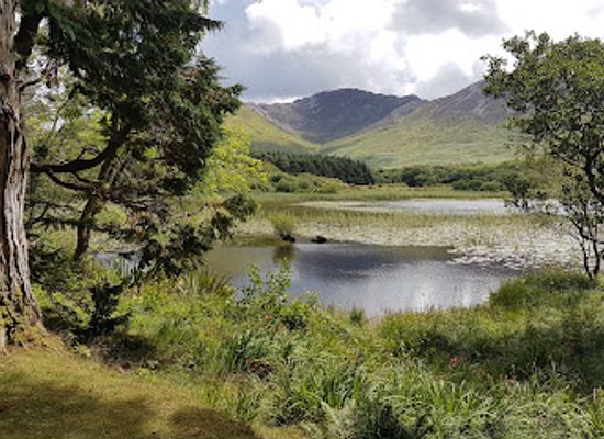 ireland/connemara-national-park/attraction/maladrolaun-lake