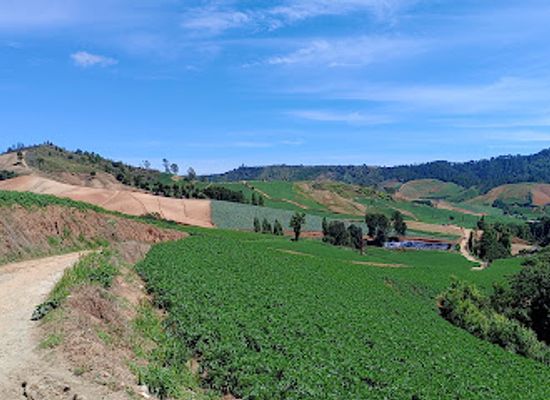 dominican-republic/constanza/attraction/campo-agricola