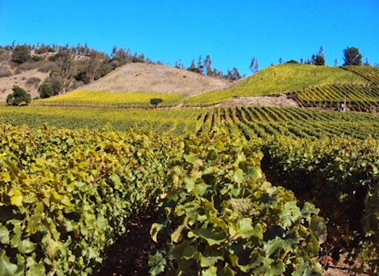 chile/central-valley/attraction/la-recova-wines