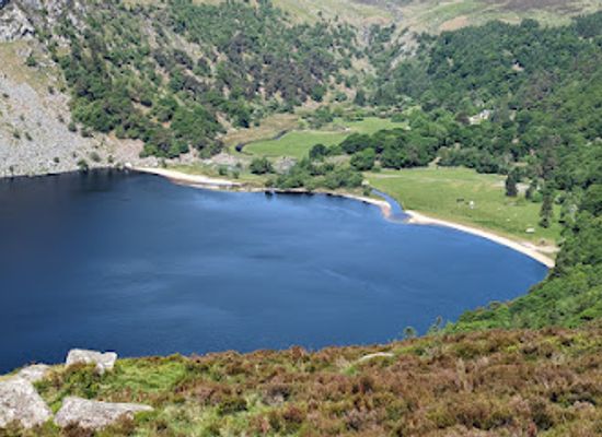 ireland/county-wicklow/attraction/ballinastoe-woods