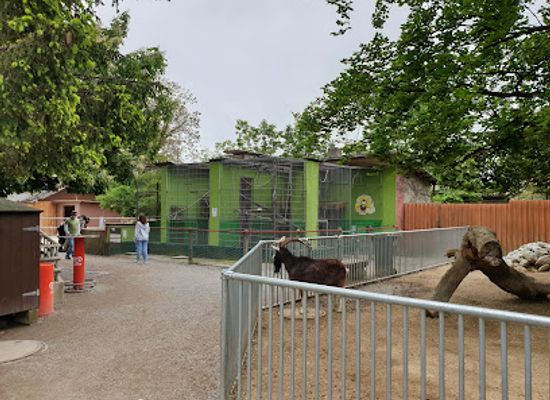 switzerland/aargau/attraction/zoo-hasel