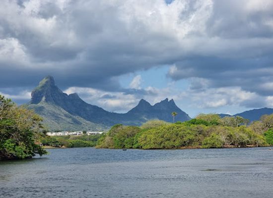mauritius/tamarin/attraction/tamarin-river-meet-the-sea