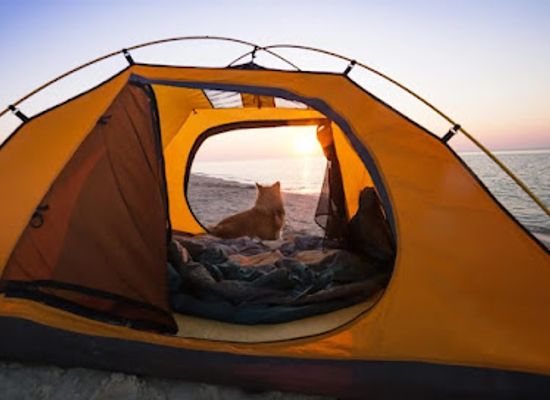 pakistan/makran-coast/attraction/gold-coast-beach-resort-kund-malir