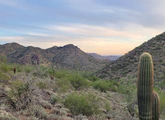 arizona/scottsdale/attraction/gateway-loop-trail