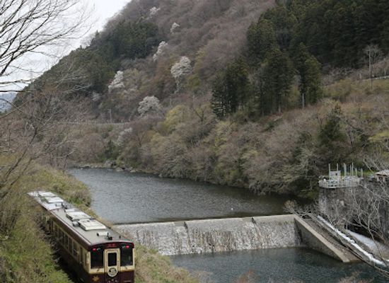 japan/kanto/attraction/musical-road-usagi-to-kame