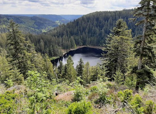 germany/black-forest/attraction/glaswaldsee