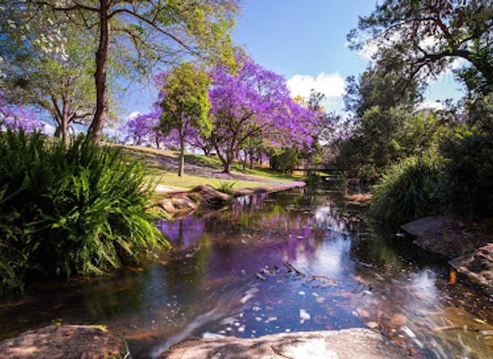 australia/northern-rivers/attraction/see-park