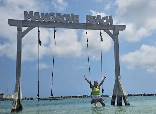 curacao/playa-manzalina/attraction/mangrove-beach-resort-swing