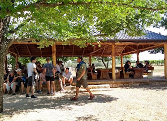 croatia/porec/attraction/jama-grotta-baredine