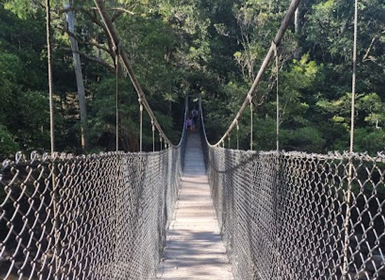 australia/central-coast/attraction/piles-creek-loop