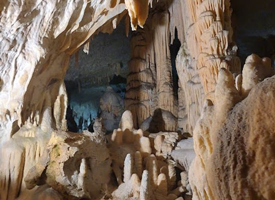 slovenia/postojna-cave/attraction/postonskja-jama