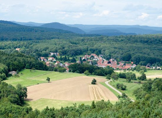 france/alsace-wine-route/attraction/chemin-des-cimes-alsace