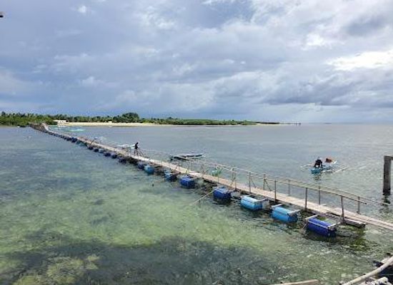 philippines/cebu-city/attraction/san-vicente-marine-sanctuary