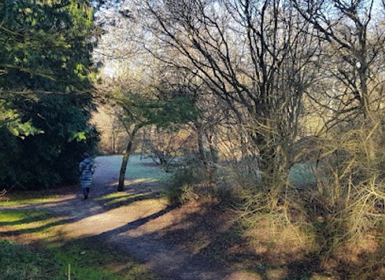 netherlands/south-holland/attraction/arboretum-heempark