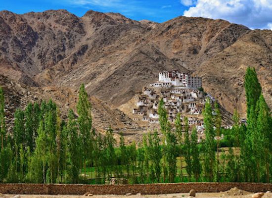 india/ladakh/attraction/hall-of-fame-leh