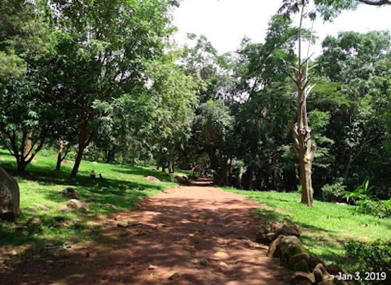 malawi/liwonde-national-park/attraction/botanical-garden