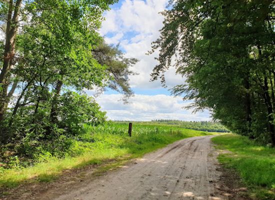 netherlands/drenthe/attraction/gietenerveld